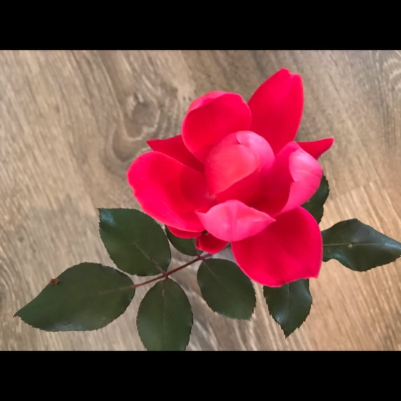 Meet your Posher, Deb - Picture 2 of 2